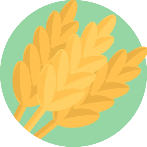 Gluten
